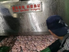 速凍翅中